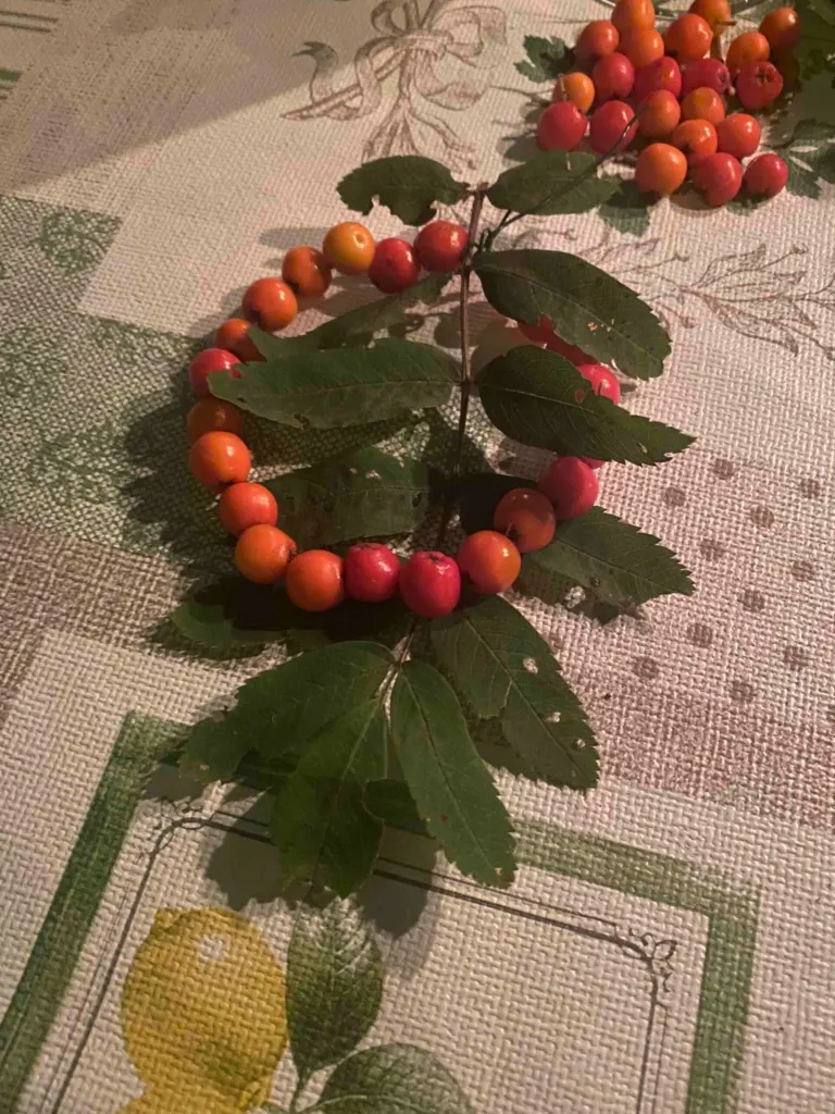 Kranz aus Vogelbeeren und Blättern auf einem Altartuch