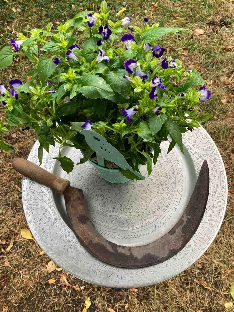 Sichel und Blumentopf mit violetten Blüten zum Lammas-Schnitterinnenfest