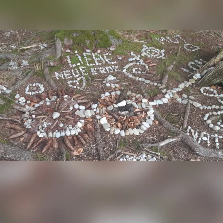 Mandala aus Steinen, Nüssen und Zweigen mit Wünschen für das neue Jahr