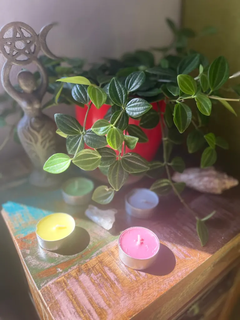 Altar mit Pflanzen, bunten Teelichtern und Kristallen für das Blue-Moon-Ritual